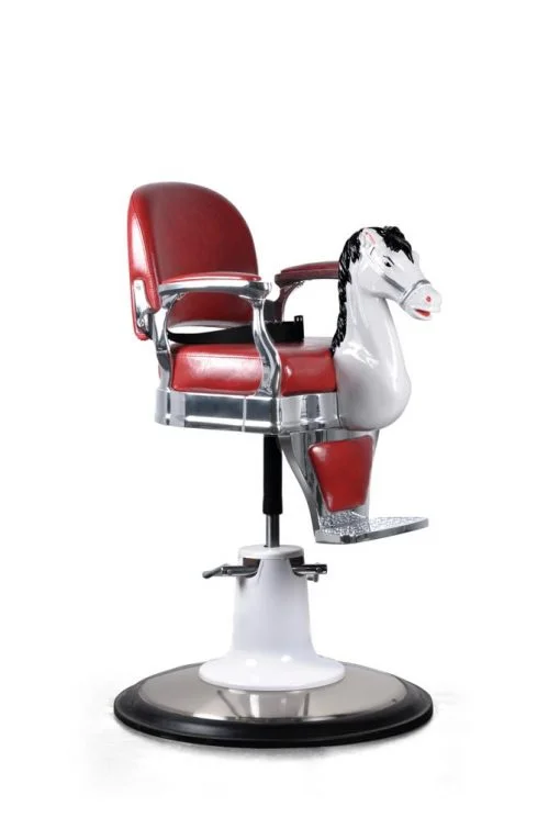 WhatsApp-Image-2020-11-10-at-13.46.40-510x765-1